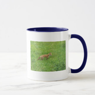 Taza Fox salvaje