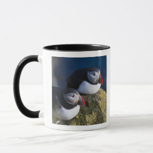 Taza Frailecillo atlántico