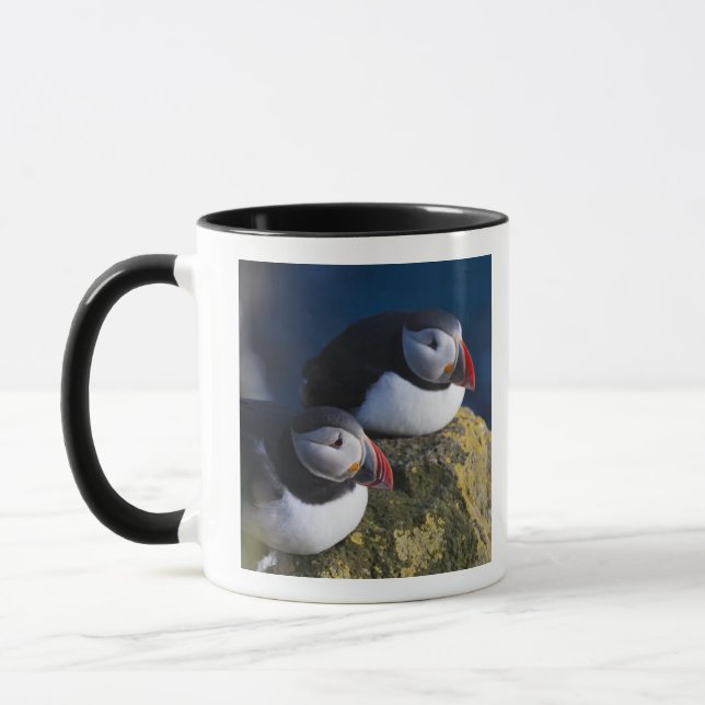 Taza Frailecillo atlántico (Izquierda)