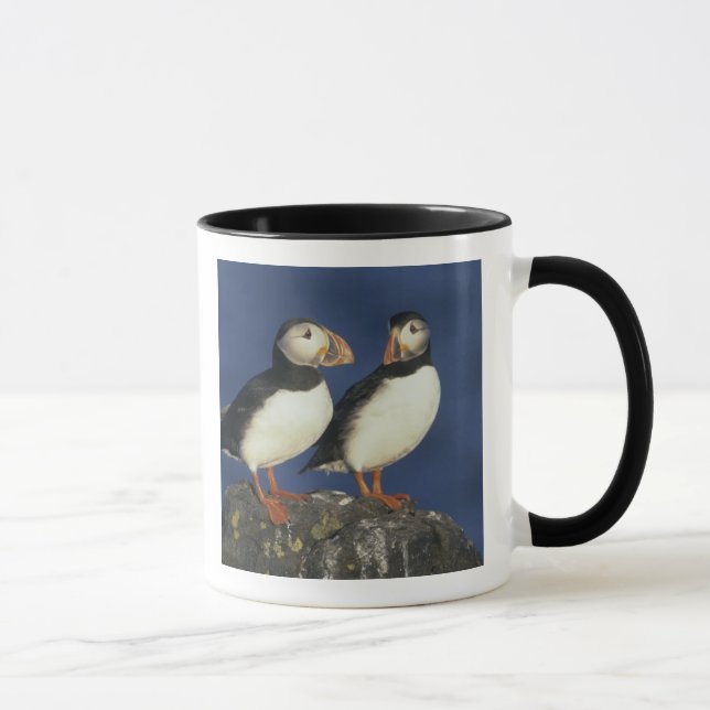 Taza Frailecillo atlántico (Derecha)