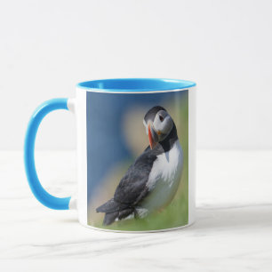 Taza Frailecillo Atlántico (Fratercula Arctica) En Acan