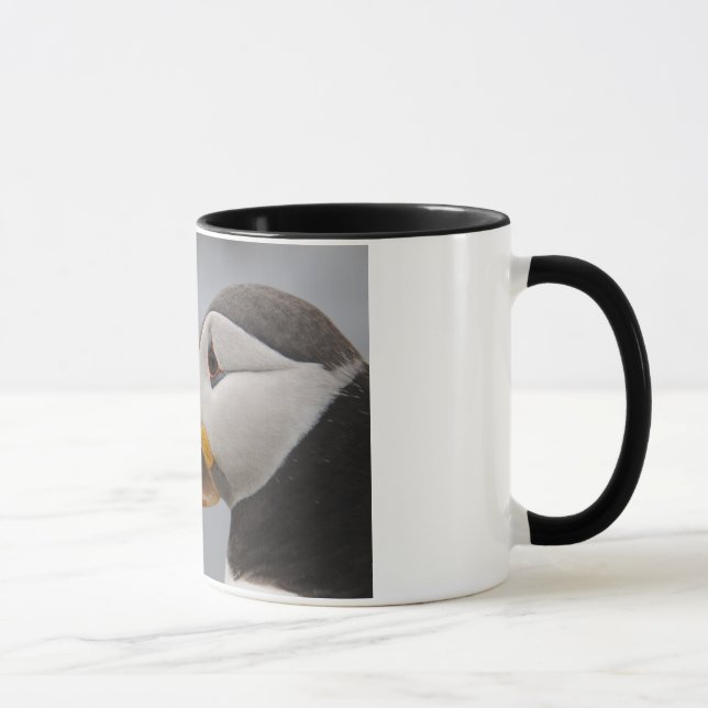 Taza Frailecillo Islandia principal (Derecha)