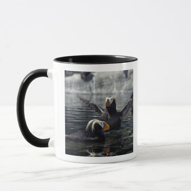Taza frailecillos moñudos de Alaska (Izquierda)