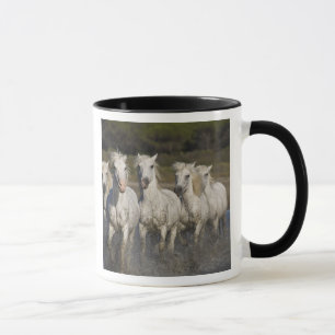 Taza Francia, Camargue. Caballos corren