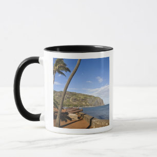 Taza Francia, Isla Reunión, St-Denis, vista de La