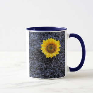 Taza Francia, Provenza-Alpes-Costa Azul