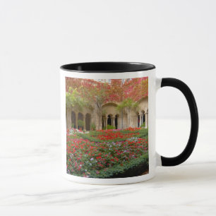 Taza Francia, St. Remy de Provenza, claustros a las 3