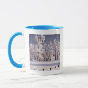 Taza Frost cubrió los árboles y la cerca, Colorado