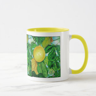 Taza Fruta de la pasión amarilla