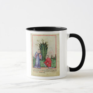 Taza Fruta de Mandrake, from Tacuinum Sanitatis