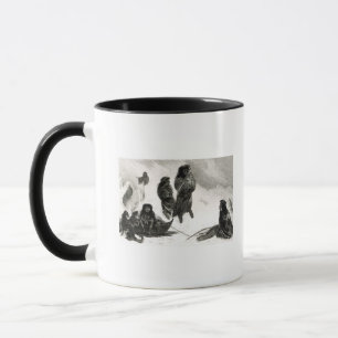 Taza Fuegians que va a negociar en Zapallos