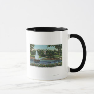 Taza Fuente y cataratas eléctricas