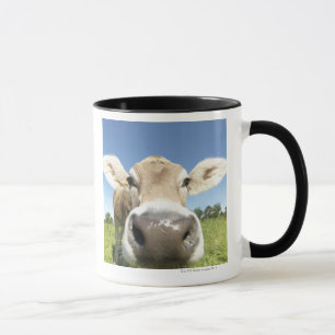 Taza Fuessen, Baviera, Alemania