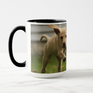 Taza Funcionamiento amarillo de los perritos de