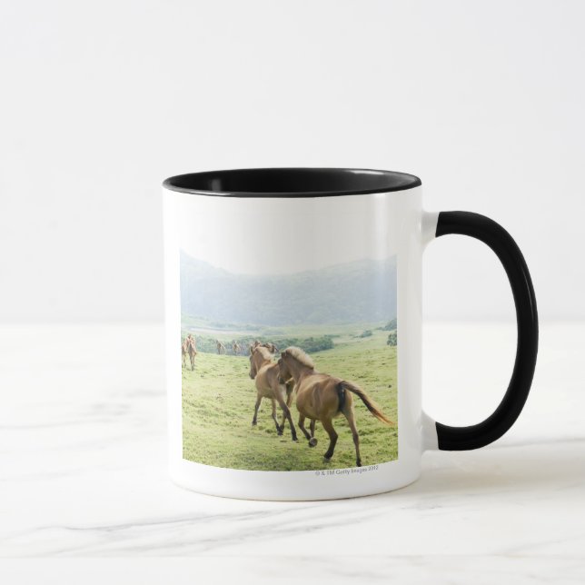 Taza Funcionamiento de los caballos (Derecha)