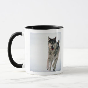 Taza Funcionamiento del lobo gris