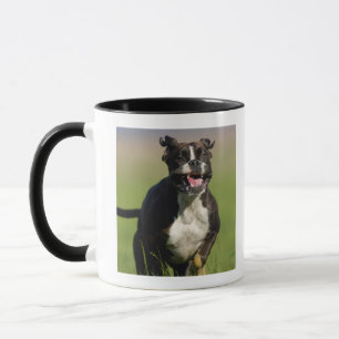 Taza Funcionamiento del perro
