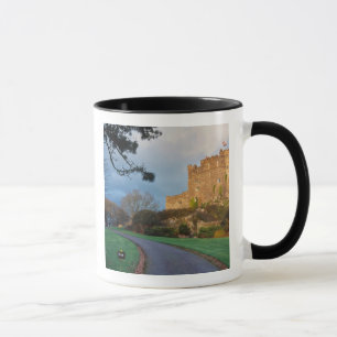 Taza Gales - Un castillo galés privado cerca de St.