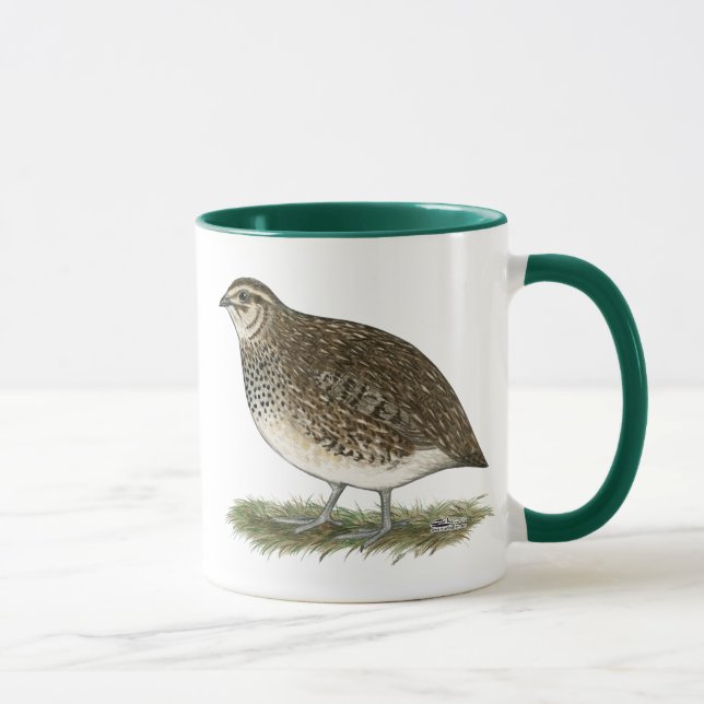 Taza Gallina de las codornices del Coturnix (Derecha)