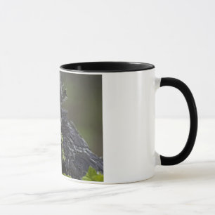 Taza Gallo polaco de plata
