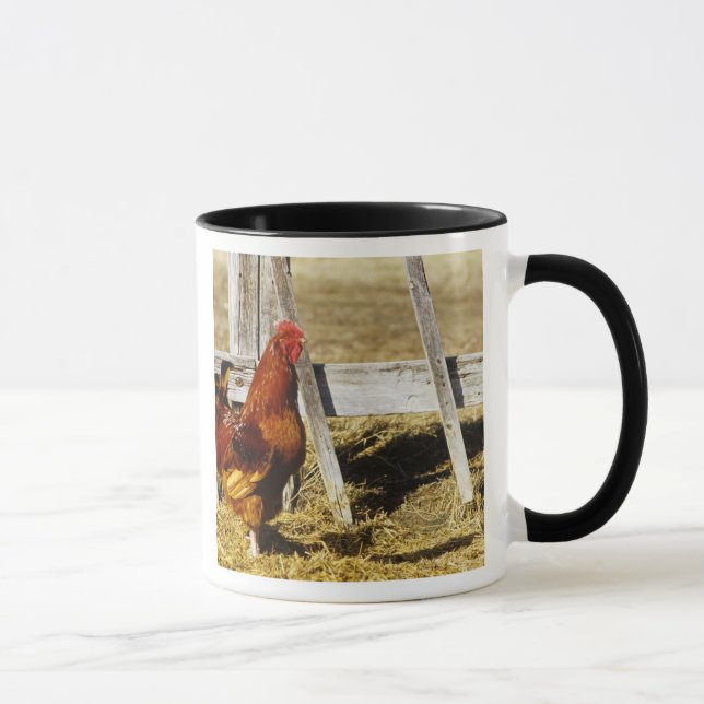 Taza Gallo rojo de Rhode Island (Derecha)