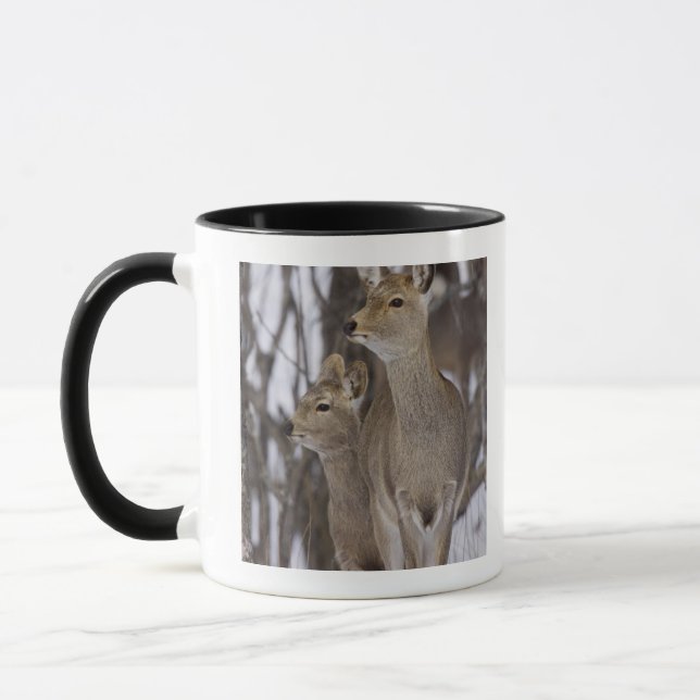Taza Gama de los ciervos de Sika y joven, Hokkaido, (Izquierda)