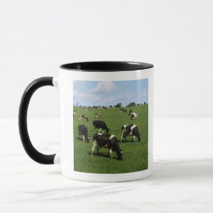 Taza Ganado del Holstein-frisón, Irlanda