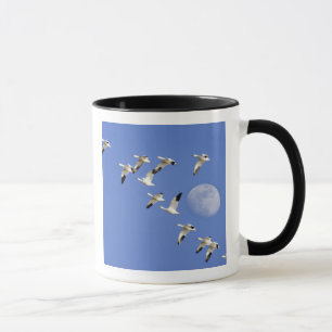 Taza Gansos de nieve despegan el vuelo en Freezeout Lak