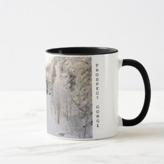 Taza Garganta de la perspectiva en invierno