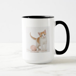 Taza Gatito al lado de la bola de la secuencia