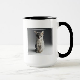 Taza Gatito azul del Tabby