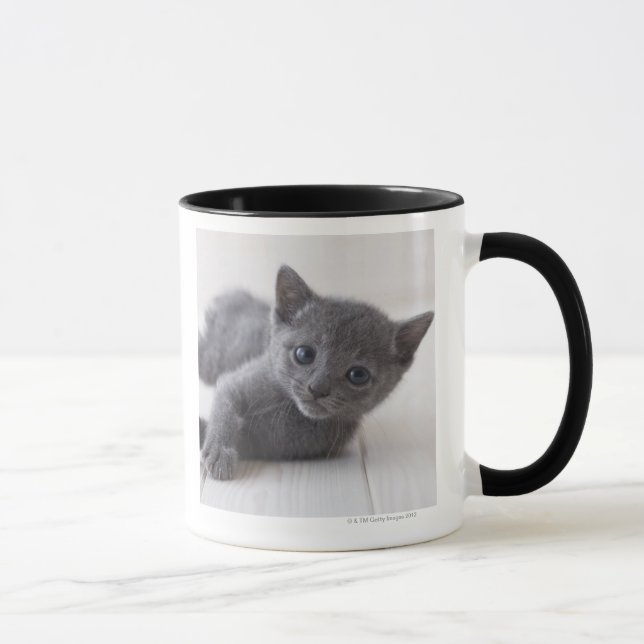 Taza Gatito azul ruso (Derecha)