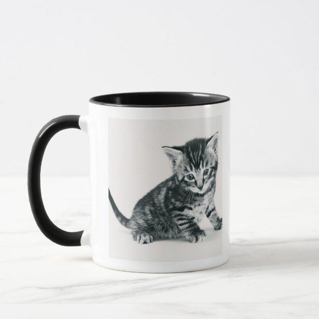 Taza Gatito del Tabby (Izquierda)