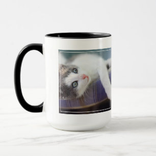 Taza Gatito dulce en cama de la tela escocesa