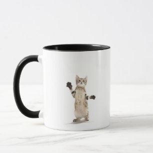 Taza Gatito en el fondo blanco