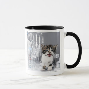 Taza Gatito entre las botellas y los tarros reciclados