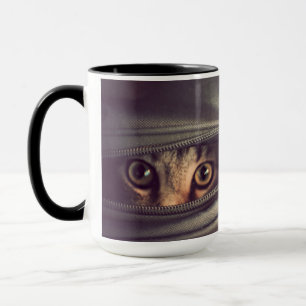 Taza Gatito joven del Tabby