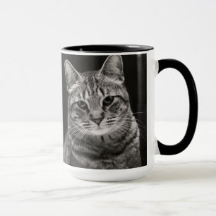 Taza Gatito negro del Tabby