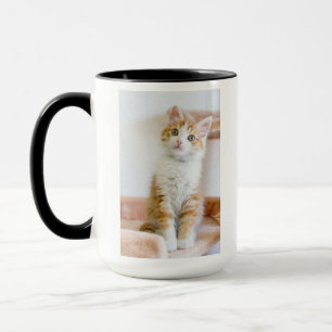 Taza Gatito observado azul dulce
