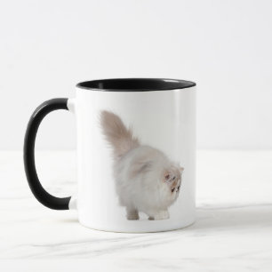 Taza Gatito persa (3 meses)