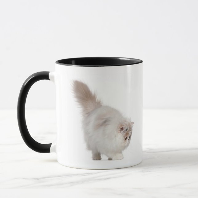 Taza Gatito persa (3 meses) (Izquierda)