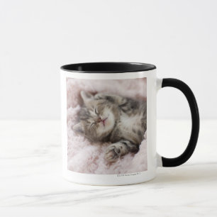 Taza Gatito que duerme en la toalla