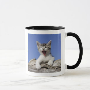 Taza Gatito que miente en el registro, bostezando,