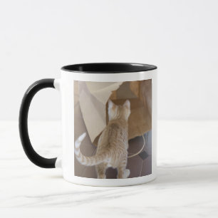 Taza Gatito que mira en el abismo de un bolso