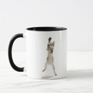 Taza Gatito que se coloca en las patas traseras