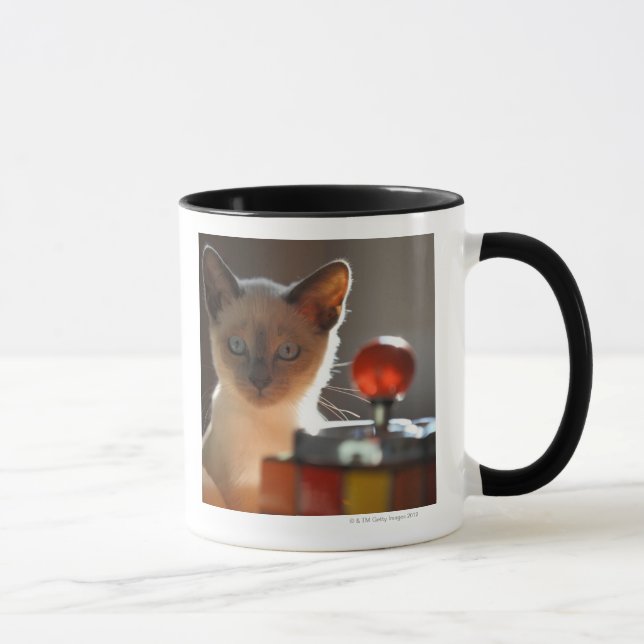 Taza Gatito siamés (Derecha)