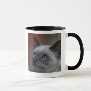 Taza Gatito siamés