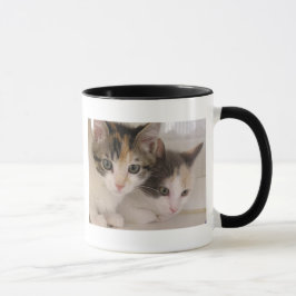 Taza Gatitos del calicó