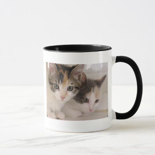 Taza Gatitos del calicó (Derecha)