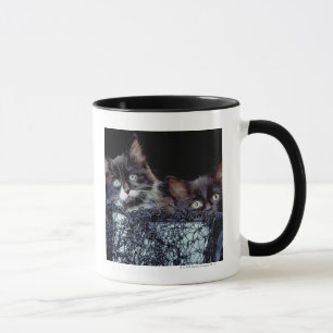Taza Gatitos en envase